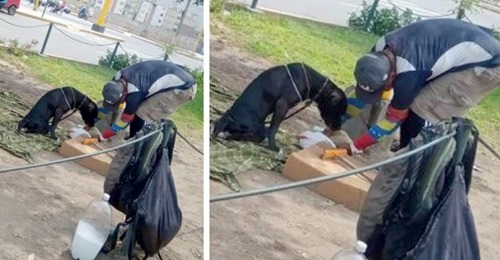 Obdachloser Mann kümmert sich um behinderten Hund: füttert ihn und betrachtet ihn als 'sein Baby'