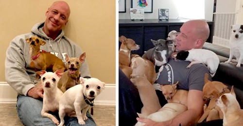 Ein Chihuahua rettete ihn aus der Depression, so dass dieser Mann beschließt, ein Tierheim für Hunde in Not zu eröffnen