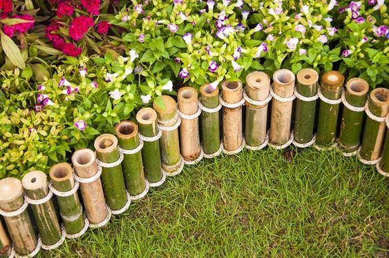 Verwenden Sie Bambus in Ihrem Garten für schöne tropische Akzente.