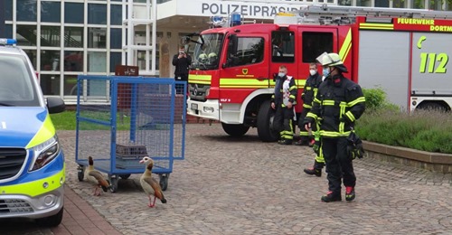 Hausbesetzer bei der Dortmunder Polizei