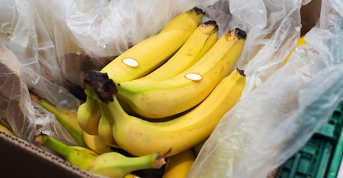 Bayern: Logistikmitarbeiter entdecken Kokain im Wert von 1 Million Euro – in Karton mit Bananen im Biomüll