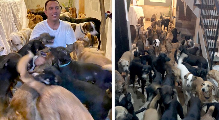 Er bringt über 300 Hunde in seinem Haus unter, um sie vor dem Wüten eines Orkans zu retten: Sie sind alle gesund und wohlbehalten