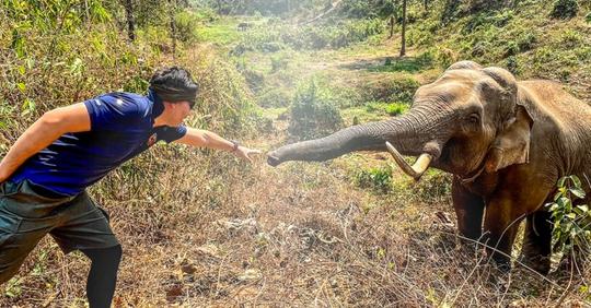Tierarzt trifft den Elefanten, den er 12 Jahre zuvor gerettet hat:  Wir haben uns erkannt und uns begrüßt 