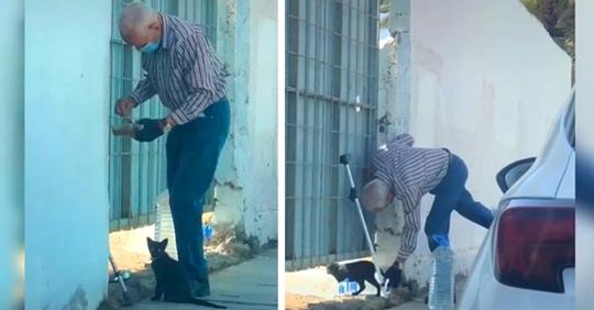 Ein alter Mann füttert jeden Tag eine Straßenkatze in Not: Das Video geht viral