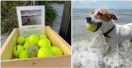 Besitzer errichtet zu Ehren seines verstorbenen Hundes einen Tennisballstand am Strand
