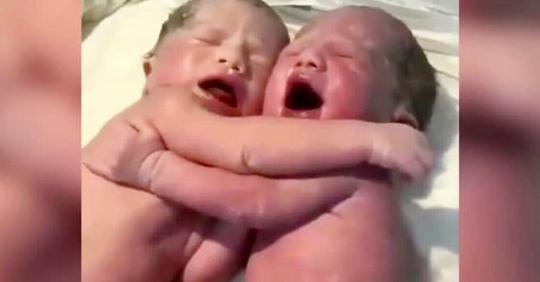 Neugeborene Zwillinge weinen bitterlich, bis sie sich umarmen (+ VIDEO)
