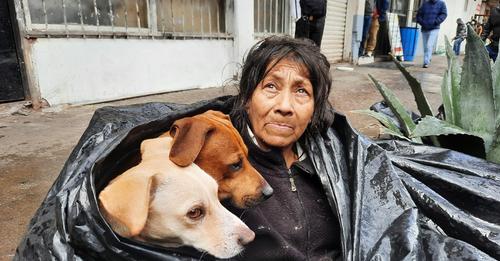 Obdachlose Frau will nicht in Unterkunft: Sie darf ihre Hunde nicht mitnehmen