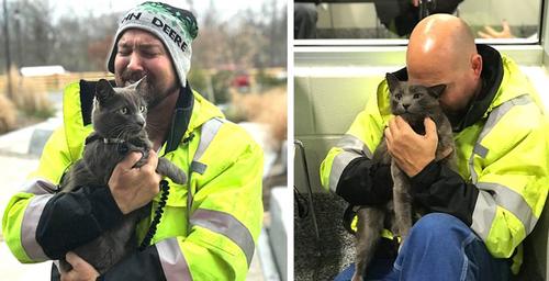 Ein LKW-Fahrer weint vor Freude, als er die Katze wiederfindet, die ihn auf seinen Reisen immer begleitet hat
