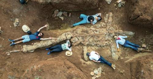 'Wissenschaftlicher Durchbruch': Hobby Forscherinnen finden 100 Millionen Jahre altes Dinosaurier Skelett
