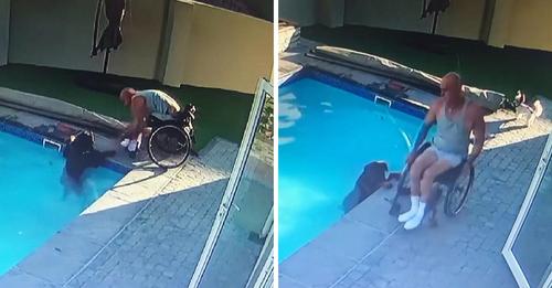 Mann im Rollstuhl rettet panischen 50 Kilogramm Rottweiler, der nicht aus dem Pool kommt
