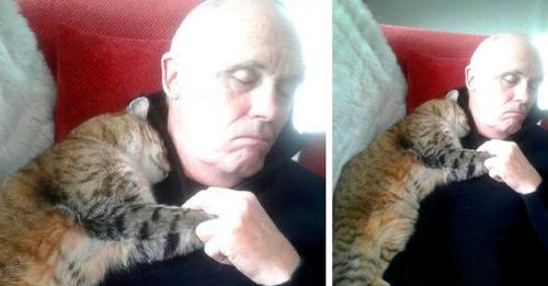 Nach einer Operation macht er zu Hause ein Nickerchen: Als er aufwacht, findet er eine Katze vor, die sich an ihn geschmiegt hat