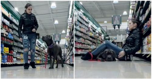 Assistenzhund rettet Besitzerin, die im Supermarkt Anfall erleidet