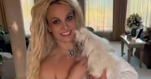 Britney Spears schockt mit Messertanz! Fans in Sorge um ihre Hunde 