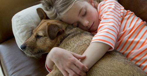 Laut einer Studie kann der Verlust eines Hundes genauso schmerzlich sein wie der eines geliebten Menschen