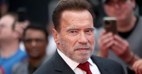 Zoll Drama: Arnold Schwarzenegger droht Millionenstrafe!