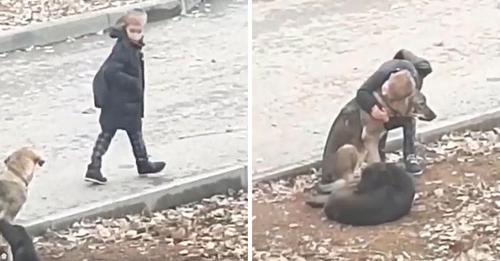 Kleiner Junge hält auf Schulweg an, um streunende Hunde zu umarmen, und berührt mit seiner Freundlichkeit die Herzen der Menschen