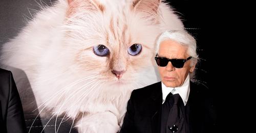 Was wurde eigentlich aus Karl Lagerfelds Katze 'Choupette'?